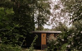 The Fish Hotel